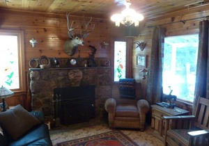Tahoe Park Cottage,Hot Tub , 1 Block From Lake Tahoe, Sunnyside, Dog Friendly