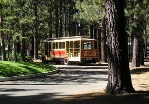 Tahoe Valley Cottage 3