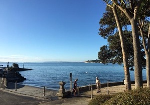 Takapuna Beach Accommodation