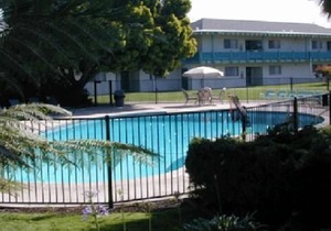 Take a Holiday in California! Spacious Unit with Free Breakfast, Free Parking