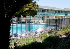 Take a Holiday in California! Spacious Unit with Free Breakfast, Free Parking
