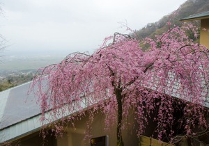 Takimotokan Yuki No Sato