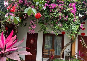 Tam Coc Serene Bungalow