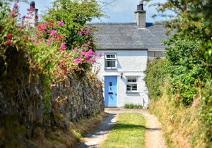 Tan y Fynwent