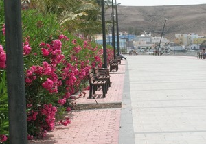 Tarajalejo beach