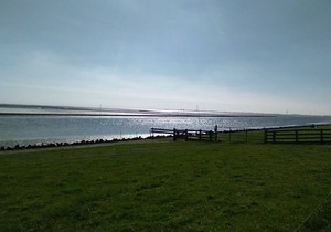 Tastefully decorated - Husum / North Sea - 200m from the sea - 2-6 people