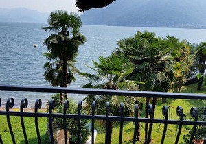Tastefully furnished 1-room apartment with sea garden and beach