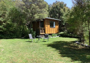 Tauhou Cabin - Ao Marama Retreat - Stunning Bush setting and Ocean Views