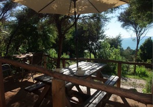 Tauhou Cabin - Ao Marama Retreat - Stunning Bush setting and Ocean Views