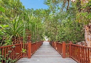 Temple Suite 202 in Triton Street Beachfront Resort, Palm Cove