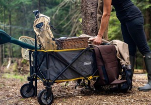 Tentrr Signature Site - Come As You Are at the Tentrr Catskill Retreat - Single Camp
