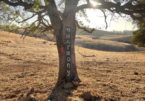 Tentrr Signature Site - Rancho Amador Site 3
