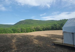 Tentrr State Park Site - Taconic State Park High Valley Rd Site F