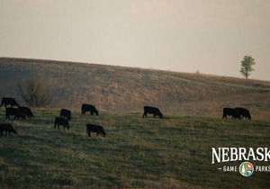 Tentrr State Park Site - Nebraska Sherman SRA – Redwood Lakeview A – Single Ca