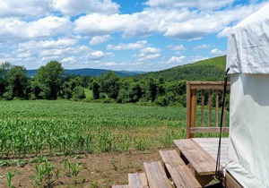 Tentrr State Park Site - NY Taconic State Park: High Valley Rd Site A