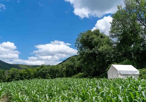 Tentrr State Park Site - NY Taconic State Park: High Valley Rd Site C