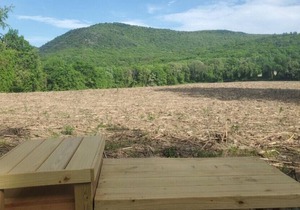 Tentrr State Park Site - NY Taconic State Park: High Valley Rd Site D