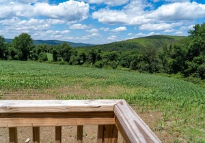 Tentrr State Park Site - Taconic State Park High Valley Rd Site A