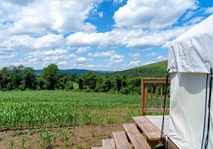 Tentrr State Park Site - Taconic State Park High Valley Rd Site A