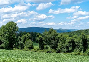 Tentrr State Park Site - Taconic State Park High Valley Rd Site A