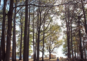 Tentrr State Park Site - Louisiana South Toledo Bend State Park - Site A - Sing
