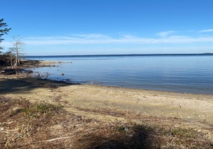 Tentrr State Park Site - Louisiana South Toledo Bend State Park - Site B - Sing