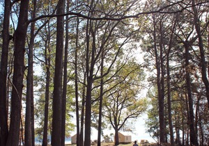 Tentrr State Park Site - Louisiana South Toledo Bend State Park - Site G - Sing
