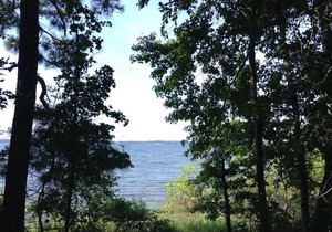 Tentrr State Park Site - Louisiana South Toledo Bend State Park - Site G - Sing