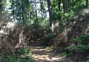 Tentrr State Park Site - Louisiana South Toledo Bend State Park - Site G - Sing