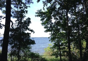 Tentrr State Park Site - Louisiana South Toledo Bend State Park - Site I - Sing