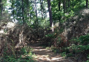 Tentrr State Park Site - Louisiana South Toledo Bend State Park - Site H - Sing