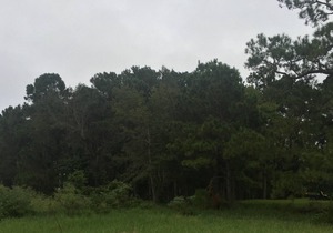 Tentrr State Park Site - Louisiana South Toledo Bend State Park - Site F - Sing
