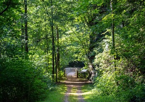 Tentrr State Park Site - WV Hawk's Nest State Park - Site F - Single Camp