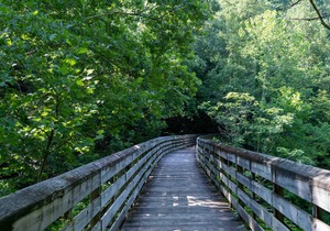 Tentrr State Park Site - WV Hawk's Nest State Park - Site F - Single Camp