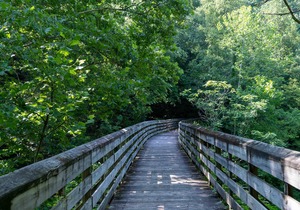 Tentrr State Park Site - WV Hawk's Nest State Park - Site G - Single Camp