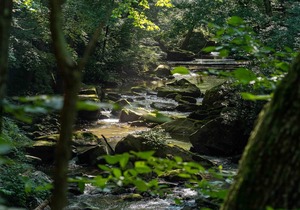 Tentrr State Park Site - WV Hawk's Nest State Park - Site C - Single Camp