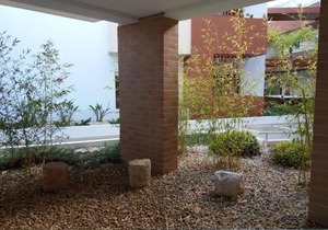 Terraços do Rio