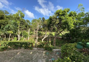 Terrazas C15 - 3BD in Akumal