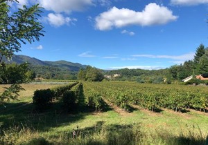 Terres de France - Le Domaine des Vans