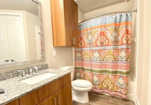 Texas Corporate Housing Solutions Professional Apt