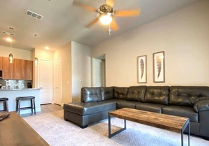 Texas Corporate Housing Solutions Professional Apt