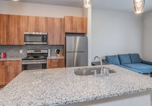 Texas Corporate Housing Solutions Professional Apt