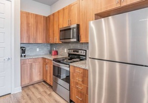 Texas Corporate Housing Solutions Professional Apt