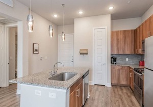 Texas Corporate Housing Solutions Professional Apt