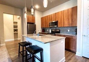 Texas Corporate Housing Solutions Professional Apt