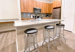 Texas Corporate Housing Solutions Professional Apt