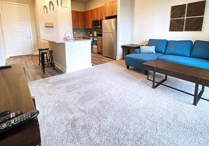Texas Corporate Housing Solutions Professional Apt