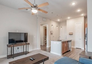 Texas Corporate Housing Solutions Professional Apt