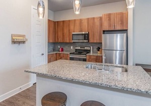 Texas Corporate Housing Solutions Professional Apt