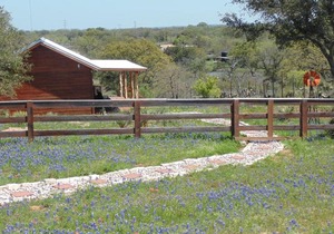Texas T Bed and Breakfast